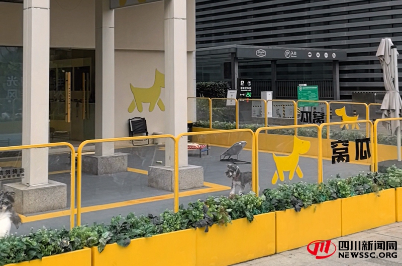 窝瓜宠物幼儿园门店2.jpg 窝瓜宠物幼儿园门店2.jpg