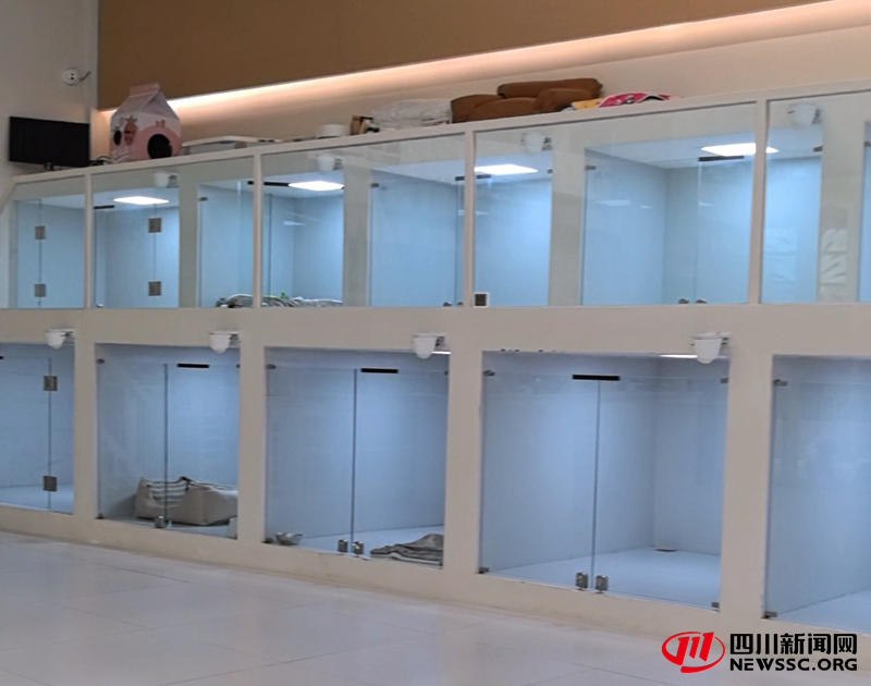 窝瓜宠物幼儿园住宿环境.jpg 窝瓜宠物幼儿园住宿环境.jpg