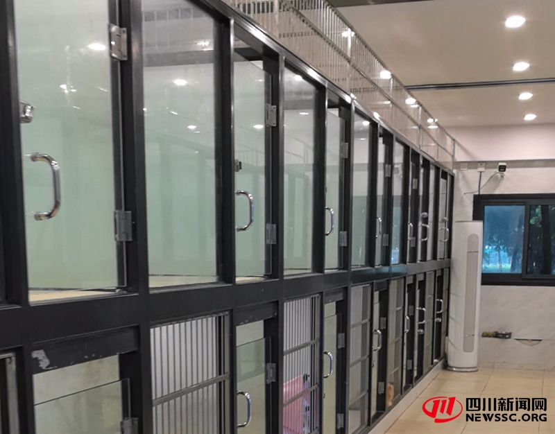 咻比嘟比宠物乐园犬舍环境1.jpg 咻比嘟比宠物乐园犬舍环境1.jpg