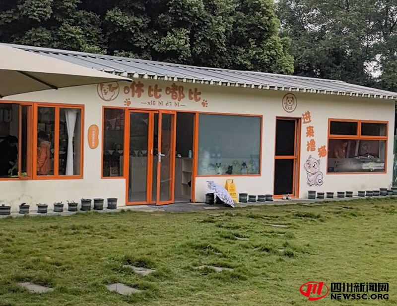 咻比嘟比宠物乐园现场门店.jpg 咻比嘟比宠物乐园现场门店.jpg