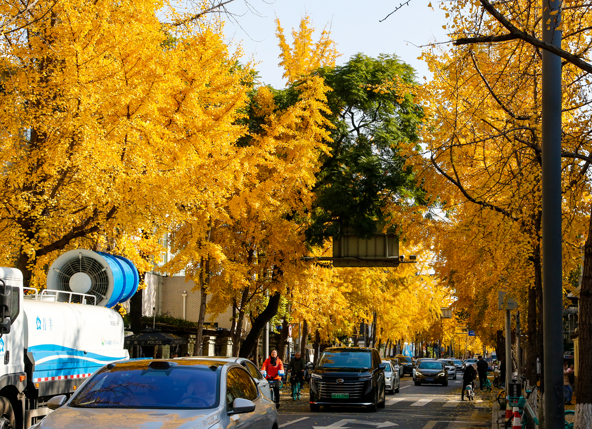 _TY_09021.jpg