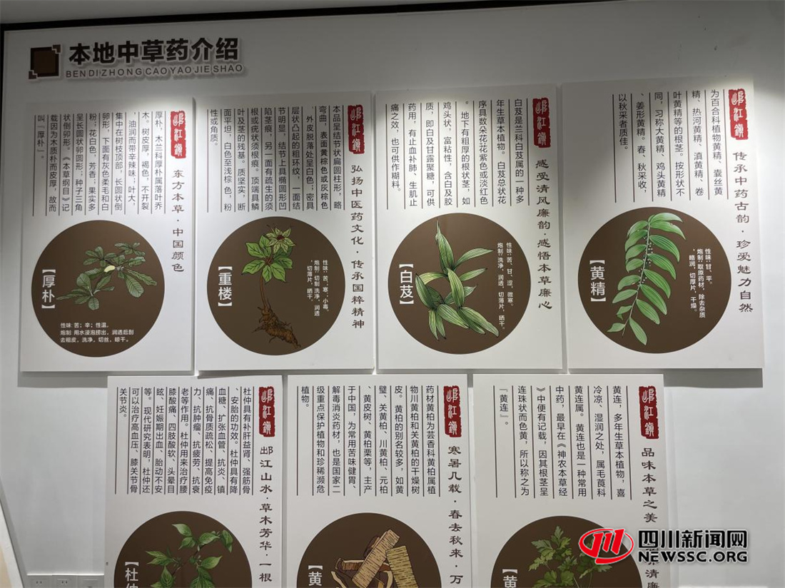 太平社区本地中草药.jpg 太平社区本地中草药.jpg