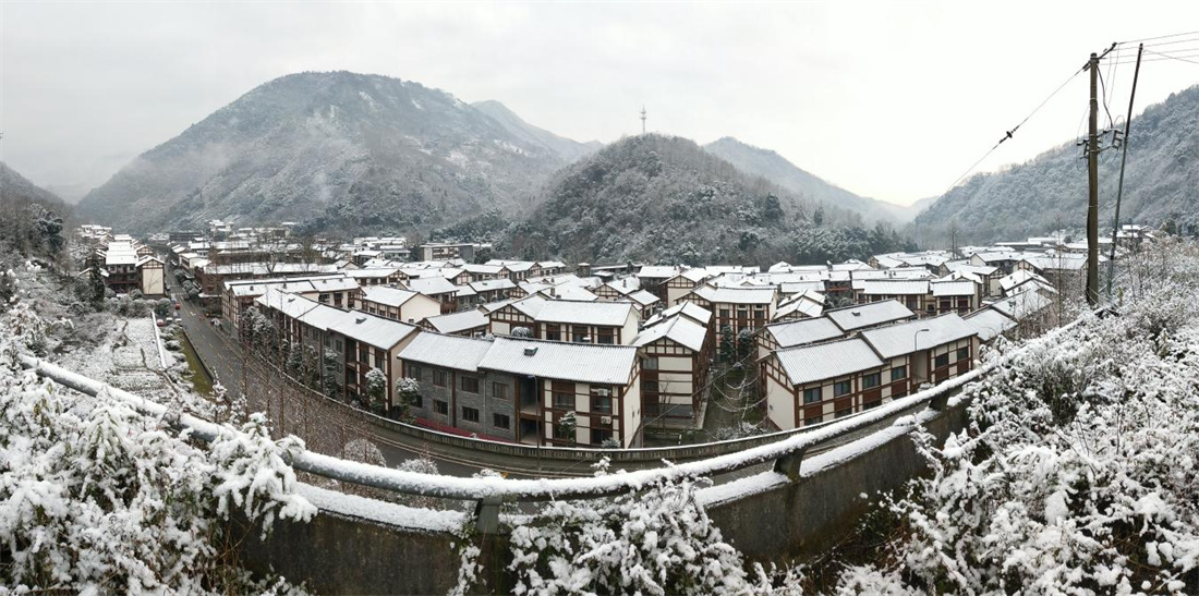 太平社区的雪景(图片由社区提供).jpg 太平社区的雪景(图片由社区提供).jpg