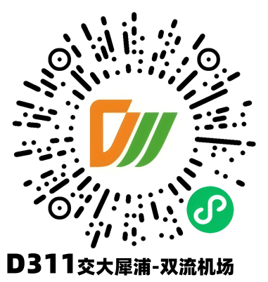 D311.png