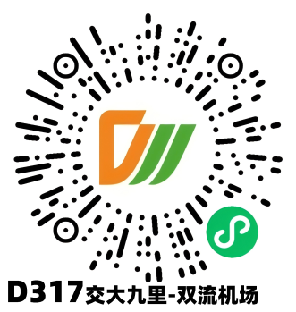 D317.png