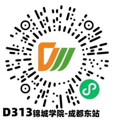 D313.png