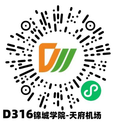 D316.png