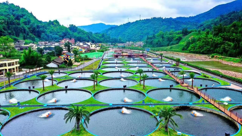 雅安市冷水鱼养殖基地.jpg 雅安市冷水鱼养殖基地.jpg