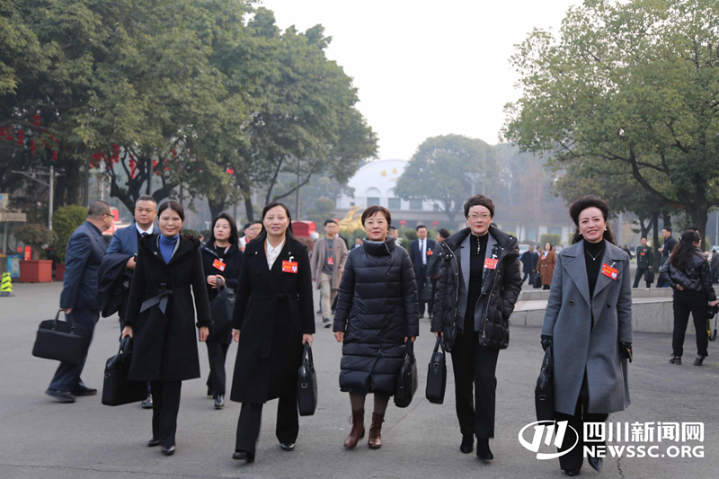 省政协委员精神饱满步入会场_副本.png