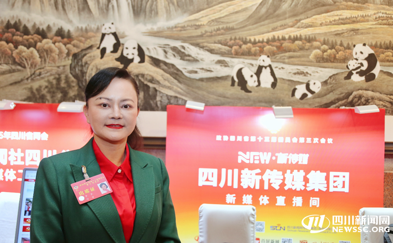 四川省政协委员、香港锦峰国际贸易有限公司董事长李蓉.png 四川省政协委员、香港锦峰国际贸易有限公司董事长李蓉.png