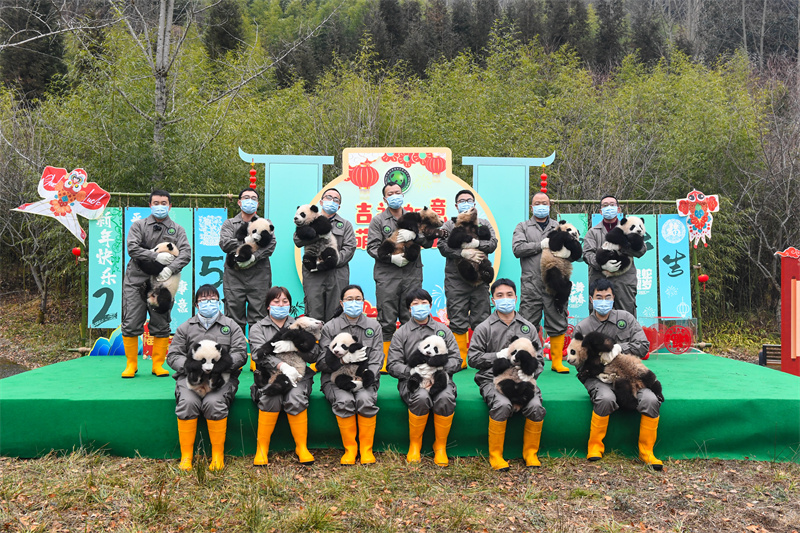 �й�����è�����о�����2024����è�����������.jpg