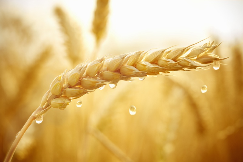 VCG41N1012537840_副本.jpg VCG41N1012537840_副本.jpg