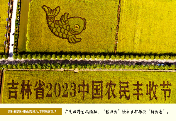 吉林市永吉县九月丰家庭农场稻田画 郭亮 摄.jpg 吉林市永吉县九月丰家庭农场稻田画 郭亮 摄.jpg