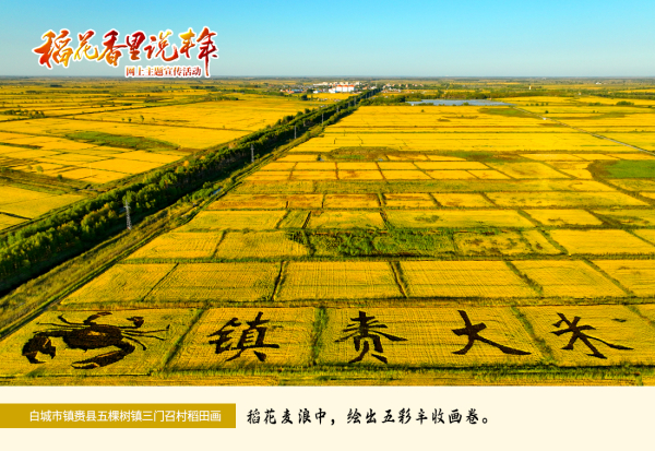 白城市镇赉县五棵树镇三门召村稻田画 潘晟昱 摄.jpg 白城市镇赉县五棵树镇三门召村稻田画 潘晟昱 摄.jpg