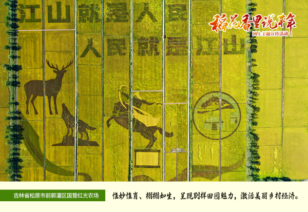 松原前郭县红光农场千米条田稻田画 郭亮 摄.jpg 松原前郭县红光农场千米条田稻田画 郭亮 摄.jpg