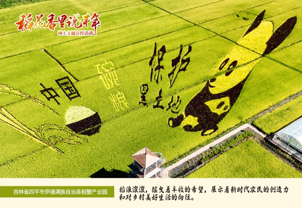 四平市伊通县稻蟹产业园保护黑土地主题稻田画 罗浩 摄_副本.jpg 四平市伊通县稻蟹产业园保护黑土地主题稻田画 罗浩 摄_副本.jpg