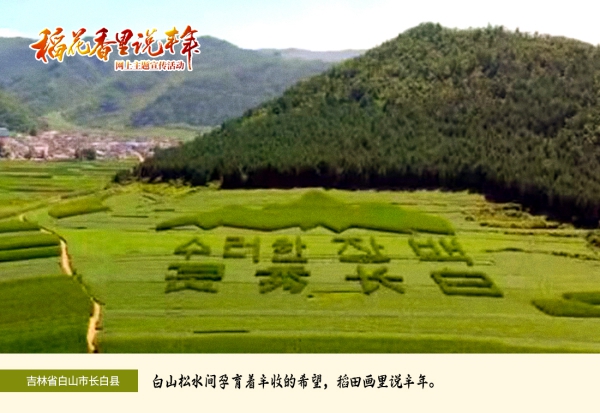 白山市长白县稻田画 白山市网信办供图_副本.jpg 白山市长白县稻田画 白山市网信办供图_副本.jpg
