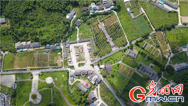 ���ĸ￪�Ž���ӡ�ǡ��󾮴壺����ɫ���Ρ��ô��������Խ��Խ���