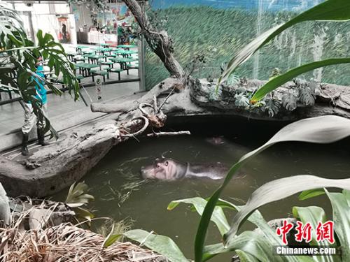 ԰ڹĺ<a target='_blank' href='http://www.chinanews.com/' _fcksavedurl='http://www.chinanews.com/' _fcksavedurl='http://www.chinanews.com/' _fcksavedurl='http://www.chinanews.com/' ><p  align=