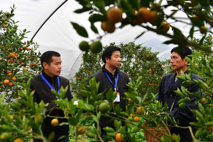 (新华全媒头条·图文互动)(8)以优良作风凝聚决战决胜磅礴力量——2019年以习近平同志为核心的党中央贯彻执行中央八项规定、推进作风建设纪实