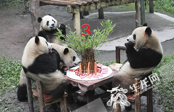 ˫˫ءϲϲ족һ3ա-ͻ ϯ Ŀ 