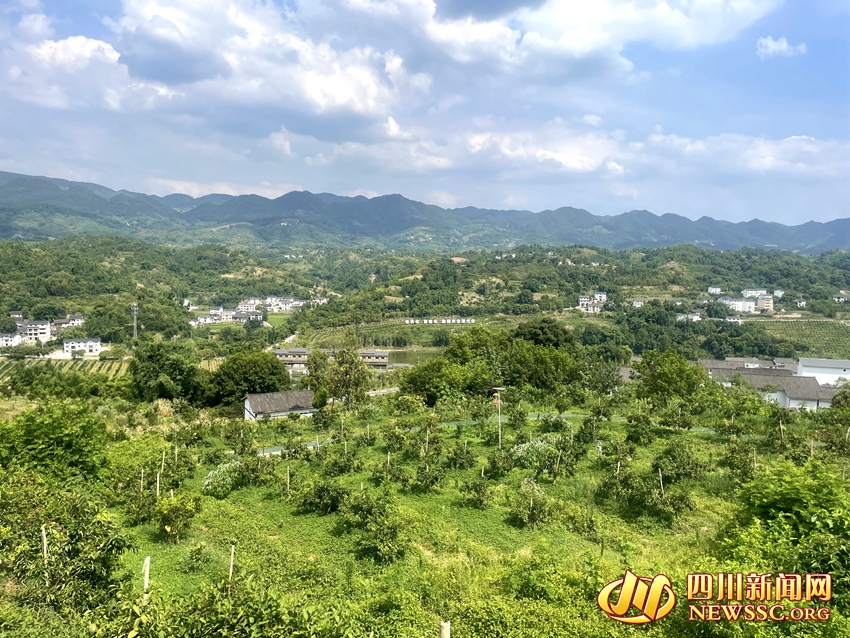 ����ũ���߽����ֻ���԰ (2).jpg