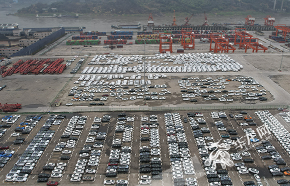 ��԰���Ѿ��߱����۱�������ó�������¶�ʽ����ʾ������������ʴ�ͨ������½���ŵ�ȫҪ�ء�