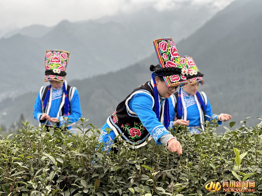 �ɲ蹤���ز�ժ��ѿ_����.jpg