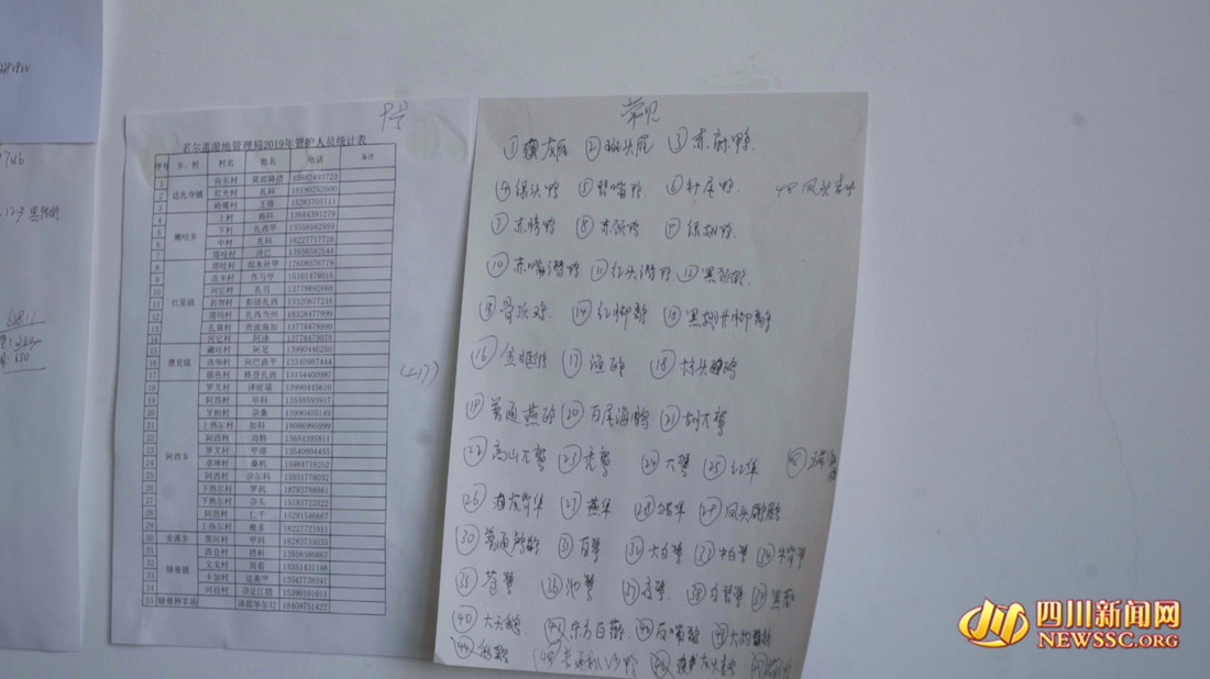 索郎夺尔基办公室墙上记录着若尔盖湿地国家级自然保护区部分常见水鸟( 俞文晶 摄)_副本.jpg