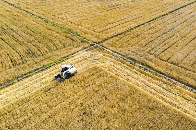 VCG211304572263.jpg