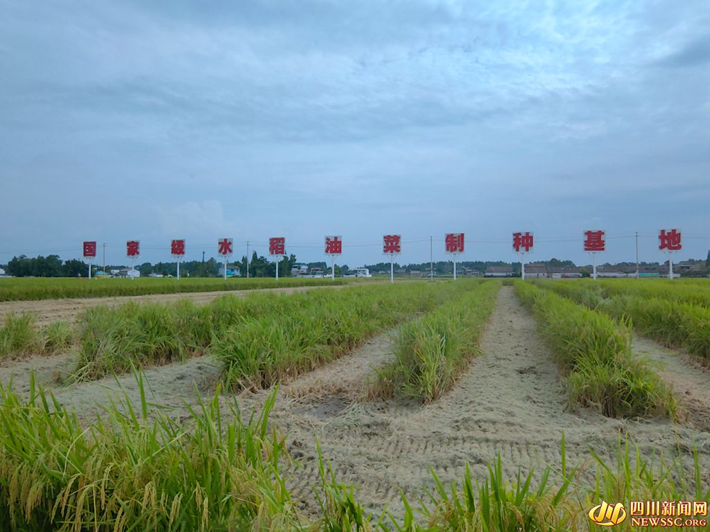 λ���޽����Ĺ��Ҽ�ˮ���Ͳ����ֻ���_����.jpg
