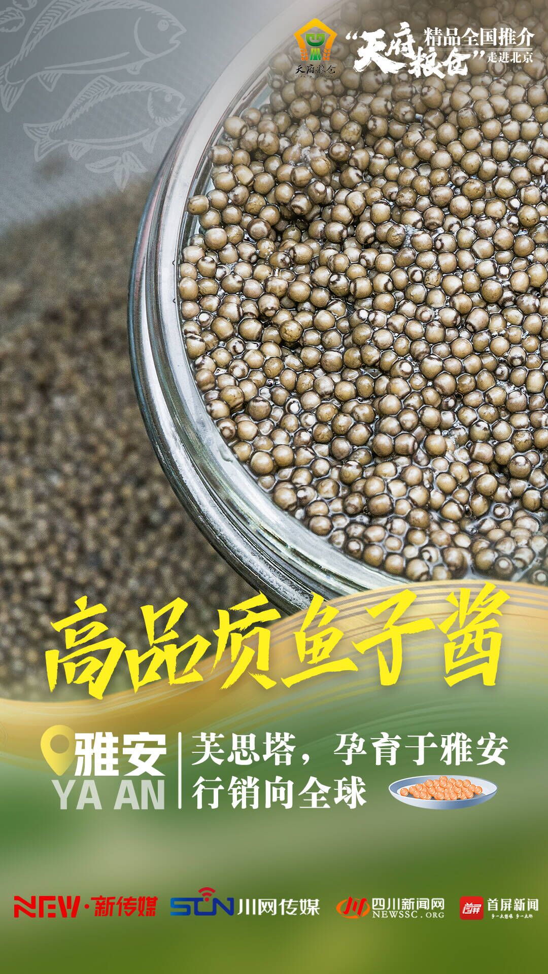 QQ图片20231208125257.jpg