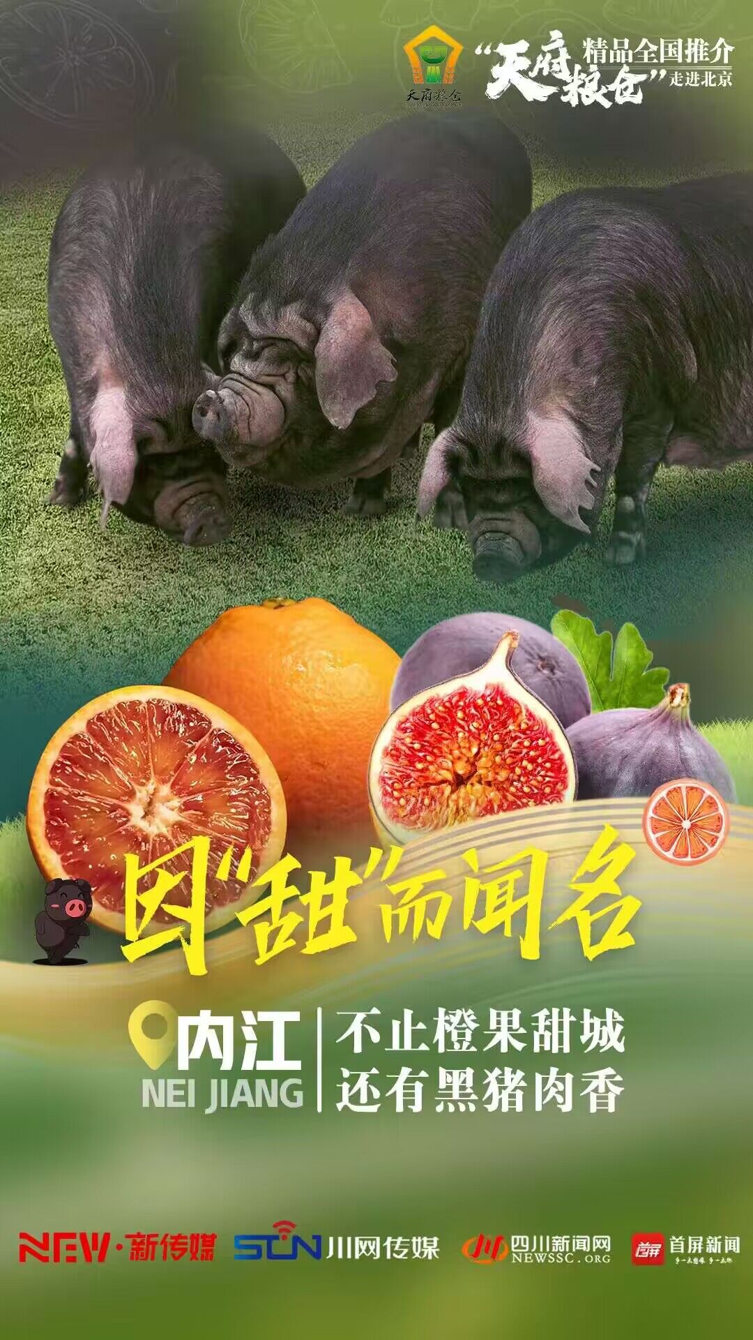 QQ图片20231208112425.jpg