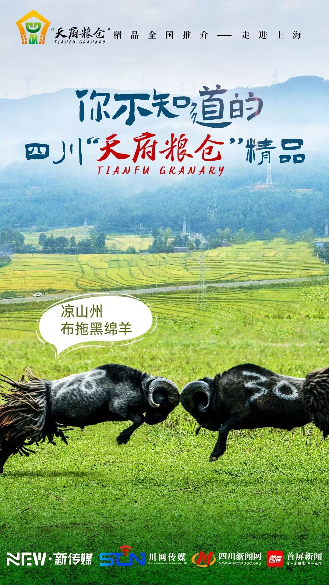 QQ图片20240112115021.jpg