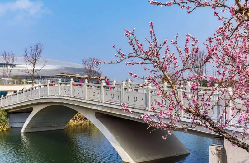 春日东安湖公园 摄影:罗兴文_副本.jpg