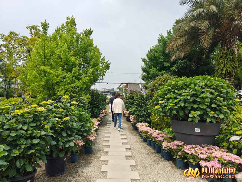 �Ĵ��׽조�츮���ܡ������_����.jpg