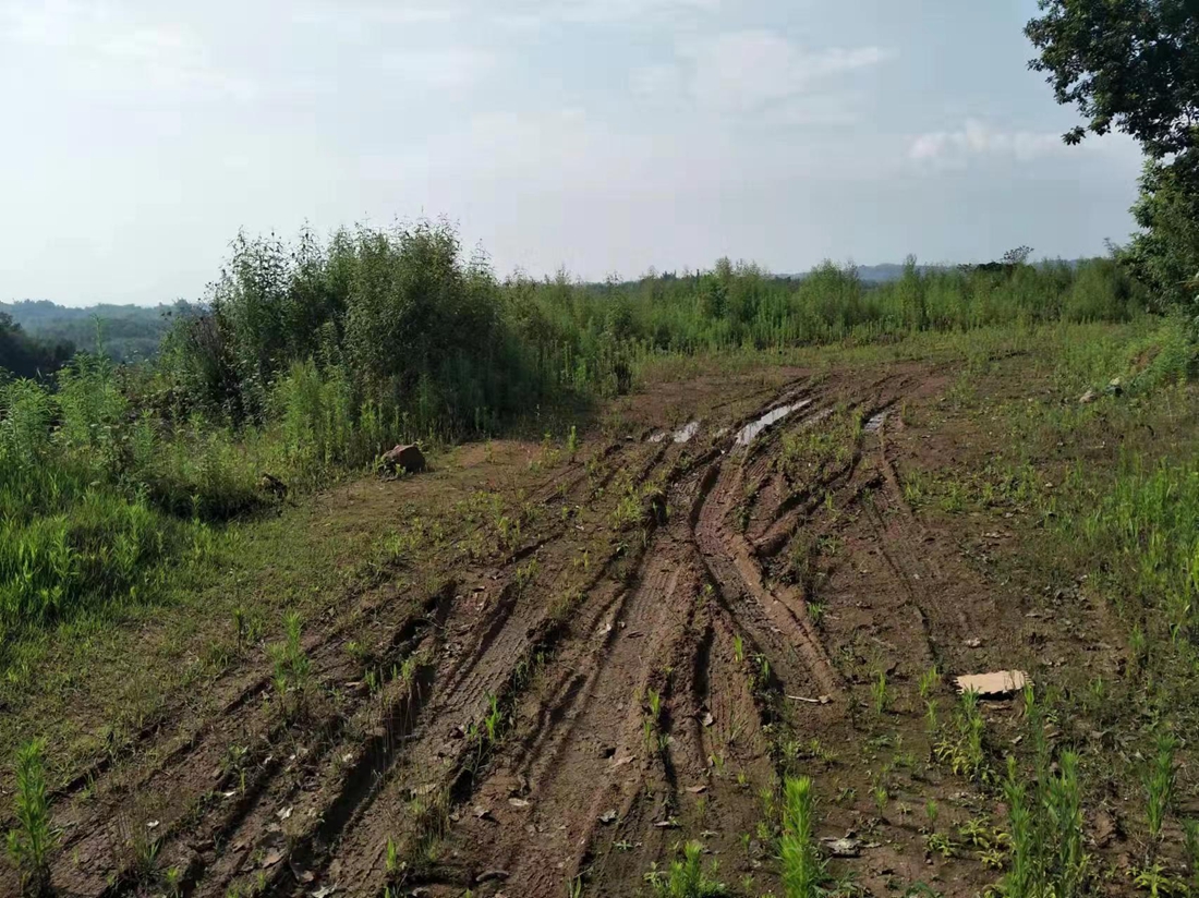 宜宾市长宁县杭某、陈某等人非法占用农用地案.jpg 宜宾市长宁县杭某、陈某等人非法占用农用地案.jpg