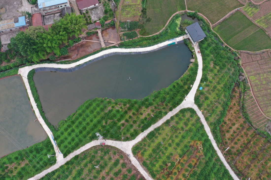 眉山市仁寿县曾某非法占用农用地案1.jpg 眉山市仁寿县曾某非法占用农用地案1.jpg