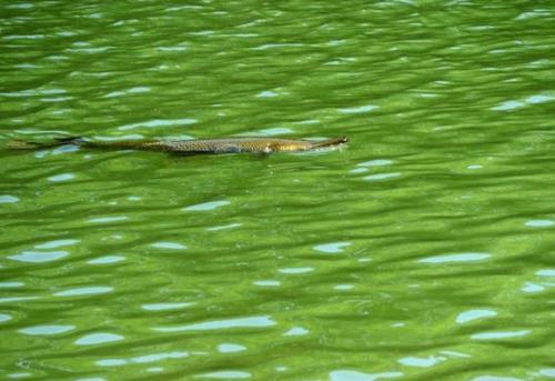 2016ҲĿʱ8ƺˡ(ͼƬԴձ)