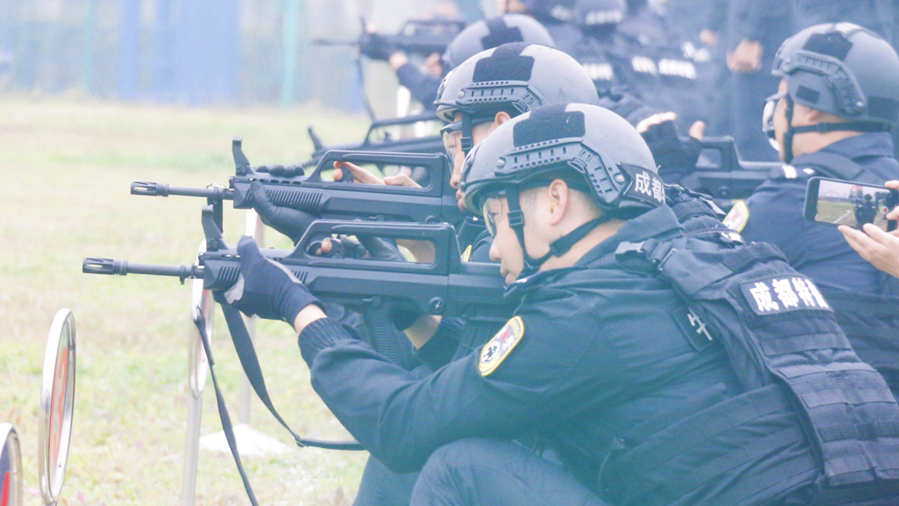 ɶѲȼ 399Ӣչʾרҵʵ