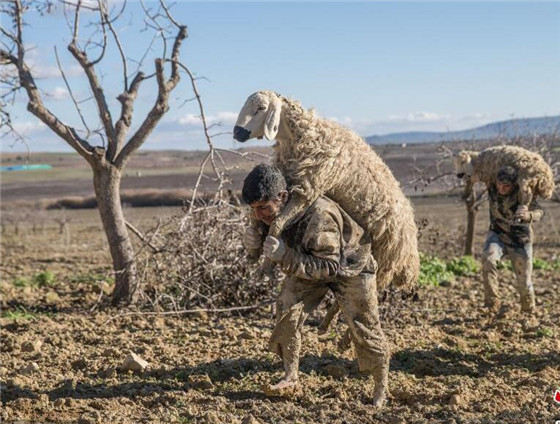 ΪԱǱ