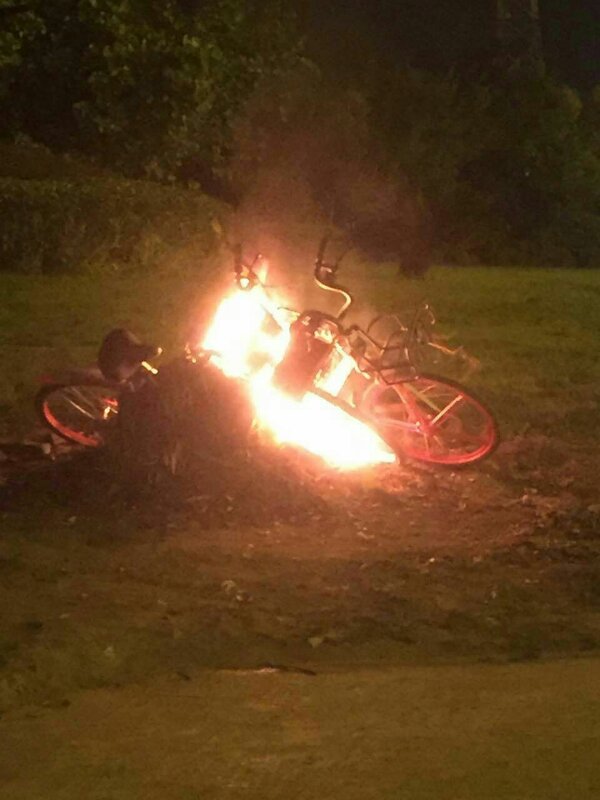 被烧毁的共享单车