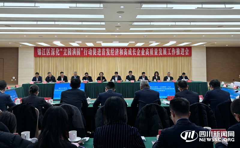 成都锦江区新春第一会(记者拍,其他为受访者供图).jpg 成都锦江区新春第一会(记者拍,其他为受访者供图).jpg