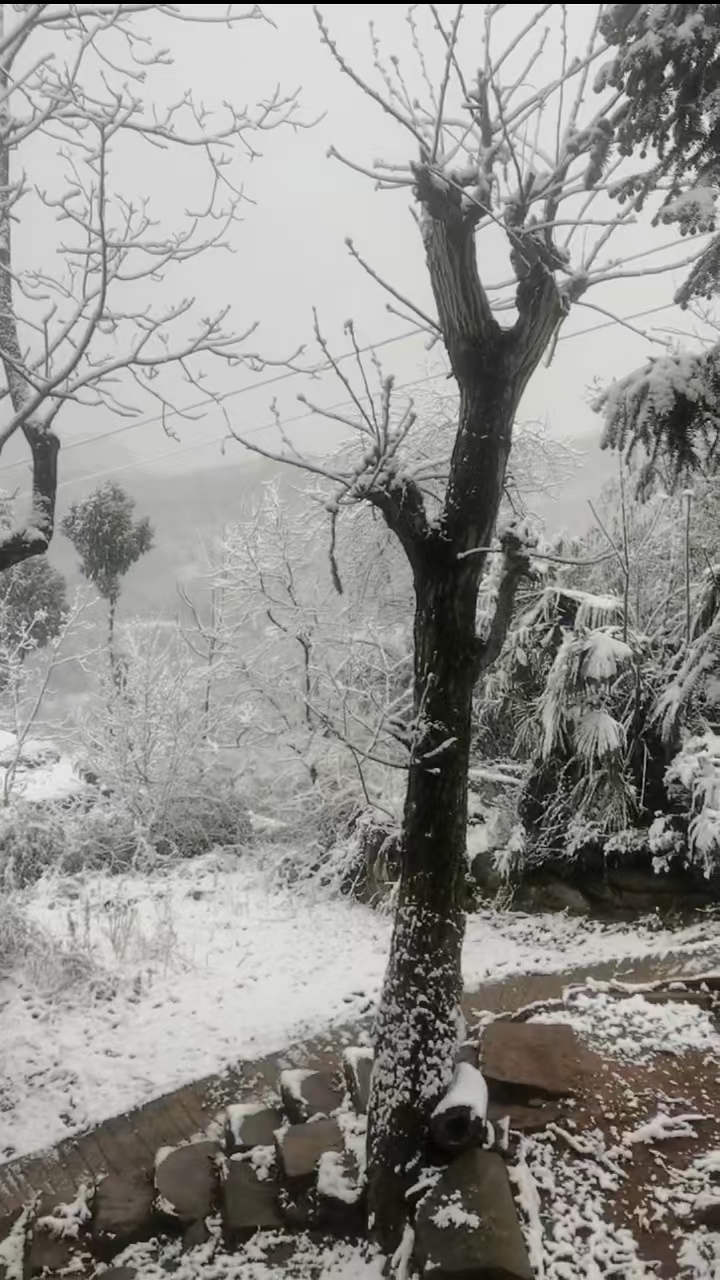 万源烟霞山(张禹厚 提供).jpg