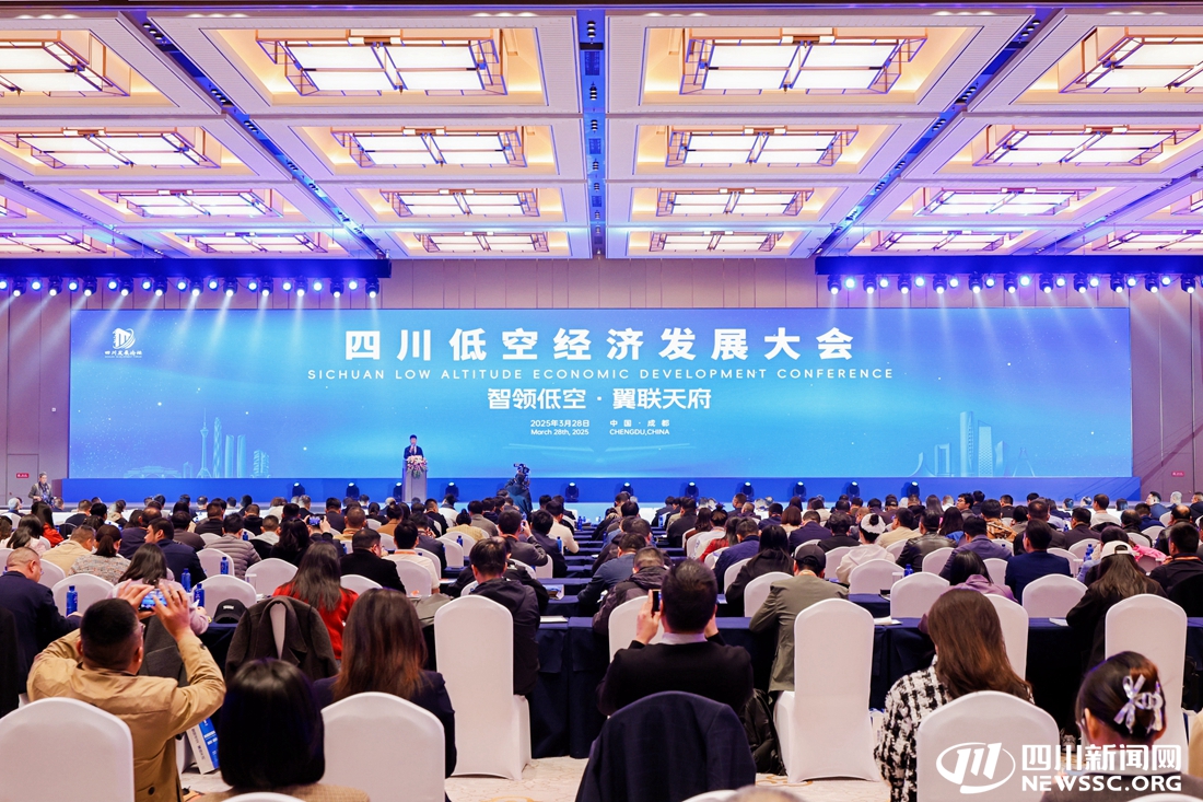 会议现场.jpg
